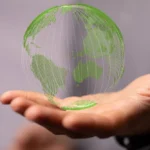 Why Wooden Pallets Are Good For the Environment