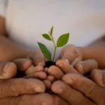 In What Ways Wooden Pallets are Good for Environment?