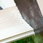 What Are the Differences Between Hardwood and Softwood Pallets