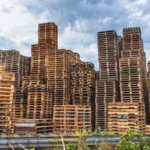 Things You Should Know Before Buying Wooden Pallets