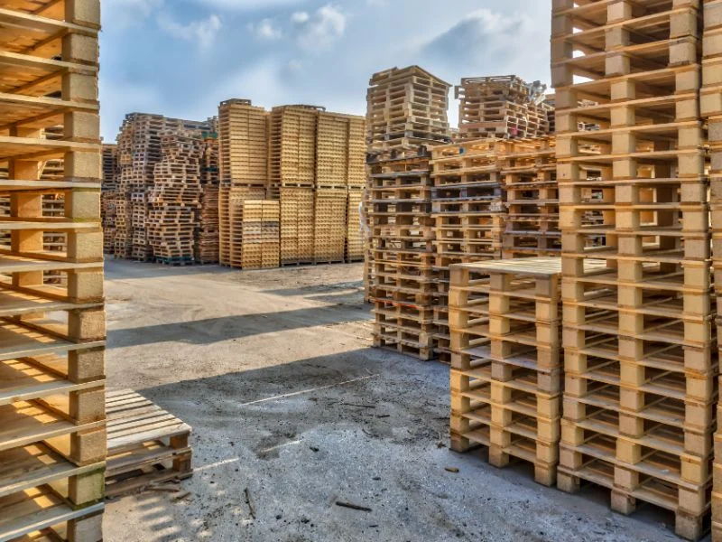 Hardwood vs Softwood Pallets Pros and Cons