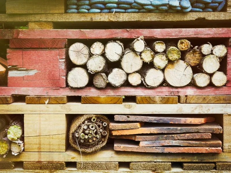 High-Quality Wooden Pallets